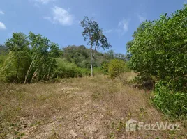  Grundstück zu verkaufen in Phuket Town, Phuket, Ko Kaeo