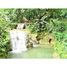  Land for sale in Puntarenas, Golfito, Puntarenas