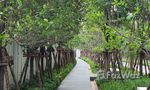 Communal Garden Area at Noble BE19