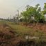  Land for sale in Nong Bua Lam Phu, Na Mafueang, Mueang Nong Bua Lam Phu, Nong Bua Lam Phu