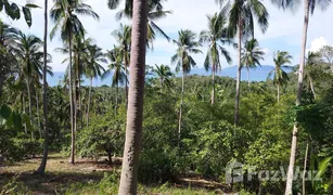 苏梅岛 湄南海滩 N/A 土地 售 