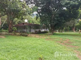 3 Schlafzimmer Haus zu verkaufen in Nicoya, Guanacaste, Nicoya