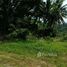  Land for sale in Maenam, Koh Samui, Maenam