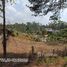  Land for sale in Kalaw, Taunggye, Kalaw