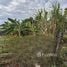  Land for sale in Phuket Town, Phuket, Talat Nuea, Phuket Town