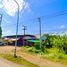  Grundstück zu verkaufen in Pua, Nan, Sathan, Pua, Nan, Thailand
