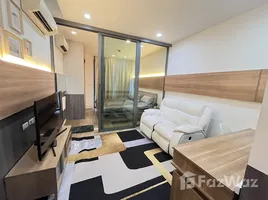 คอนโด 1 ห้องนอน ให้เช่า ในโครงการ ทราเพโซ สุขุมวิท 16, คลองเตย