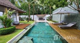 ยูนิตมือสองและให้เช่า