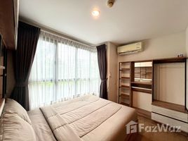 Studio Wohnung zu vermieten im Centrio, Wichit, Phuket Town, Phuket