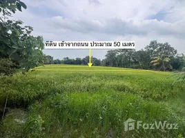 ขายที่ดิน ใน พระอาจารย์, นครนายก, พระอาจารย์, องครักษ์, นครนายก