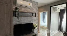 ยูนิตมือสองและให้เช่า