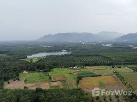 ขายที่ดิน ใน โคกกลอย, พังงา, โคกกลอย, ตะกั่วทุ่ง