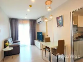 Studio Apartmen for rent at Bukit Jambul, Paya Terubong, Timur Laut Northeast Penang
