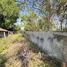  Land for sale in Phanao, Nakhon Ratchasima, Phanao