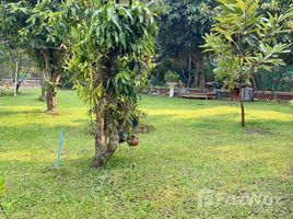  Land for sale in Saraphi, Chiang Mai, Chomphu, Saraphi