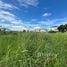  Land for sale in Thailand, O Ngoen, Sai Mai, Bangkok, Thailand