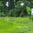  Land for sale in Wang Taku, Mueang Nakhon Pathom, Wang Taku