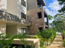 2 Habitaciones Departamento en venta en , Quintana Roo Carretera Tulum - Cancún