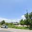  Land for sale in Chai Nat, Suea Hok, Mueang Chai Nat, Chai Nat