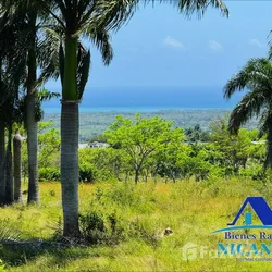 Solar en Puerto Plata, foto 4