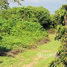  Land for sale in Lamphun, Mueang Nga, Mueang Lamphun, Lamphun