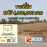  Земельный участок for sale in FazWaz, Mueang Khong, Khong, Накхон Ратчасима, Таиланд