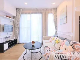 คอนโด 1 ห้องนอน ให้เช่า ในโครงการ ซีล บาย แสนสิริ, คลองตันเหนือ