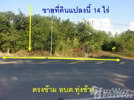 ขายที่ดิน ใน ทุ่งช้าง, น่าน, ทุ่งช้าง, ทุ่งช้าง