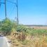  Земельный участок for sale in Map Yang Phon, Районг, Map Yang Phon