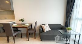 ยูนิตมือสองและให้เช่า