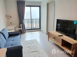 1 Bedroom Apartment for rent at Life Ladprao, Chomphon