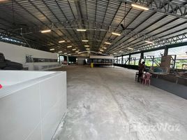 Studio Shophaus zu vermieten in Chalong, Phuket Town, Chalong