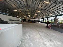 Studio Boutique for rent in Wat Chalong, Chalong, Chalong