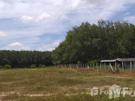  Land for sale in Rayong, Na Ta Khwan, Mueang Rayong, Rayong