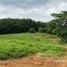  Land for sale in Thailand, Mae Khao Tom, Mueang Chiang Rai, Chiang Rai, Thailand