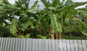 N/A Grundstück zu verkaufen in Khlong Tan Nuea, Bangkok 