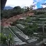  Terreno (Parcela) en venta en Baturiti, Bali, Baturiti
