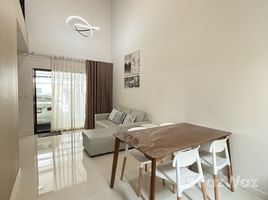 บ้านเดี่ยว 3 ห้องนอน ให้เช่า ในโครงการ อัลติจูด คราฟ บางนา, บางแก้ว
