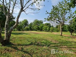 在清莱出售的 土地, Huai Sak, Mueang Chiang Rai, 清莱