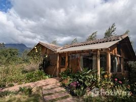 2 Schlafzimmer Haus zu verkaufen in Cotacachi, Imbabura, Cotacachi, Cotacachi, Imbabura