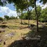  Terreno (Parcela) en venta en Tejakula, Bali, Tejakula, Buleleng