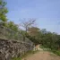  Grundstück zu verkaufen in Puntarenas, Puntarenas, Puntarenas, Puntarenas