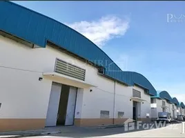 คลังสินค้า ให้เช่า ในทำเล เทศบาลนครอ้อมน้อย, สมุทรสาคร, เทศบาลนครอ้อมน้อย, กระทุ่มแบน