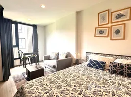 1 Bedroom Condo for rent at THE BASE Central Phuket, Wichit, Phuket Town, Phuket