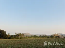  Land for sale in Pran Buri Prachuap Khiri Khan, Wang Phong, Pran Buri, Prachuap Khiri Khan