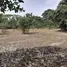  Terreno (Parcela) en venta en Costa Rica, Carrillo, Guanacaste, Costa Rica