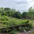  Land for sale in Ungasan, Bali, Ungasan, Badung, Bali