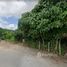  Land for sale in Phuket, Kathu, Kathu, Phuket