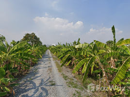  Земельный участок for sale in Airport Rail Link Station, Самутпракан, Bang Kaeo, Bang Phli, Самутпракан