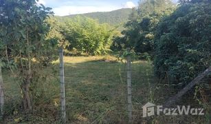 N/A Land for sale in Si Bua Ban, Lamphun 